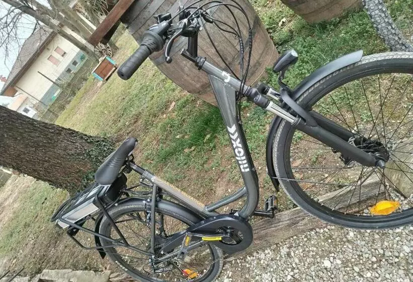 ホテル Agriturismo Le Oche Selvatiche