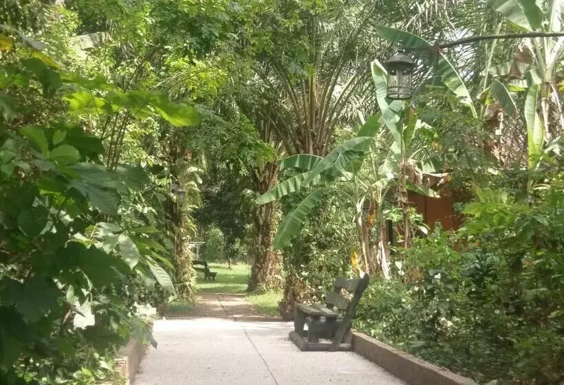 ホテル Big Foot Safari Lodge