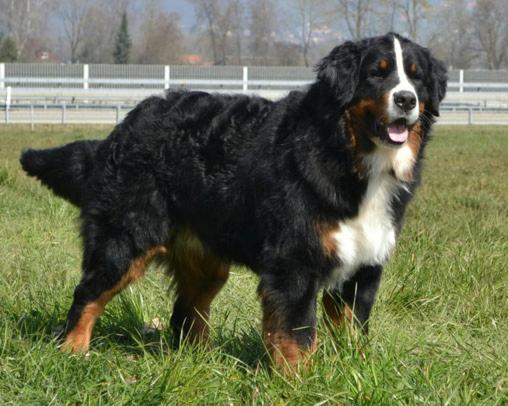 호텔 Bergblick Lodge 3 Sterne Garni Neueröffnung