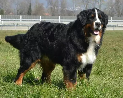 Hotelli Bergblick Lodge   3 Sterne Garni   Neueröffnung