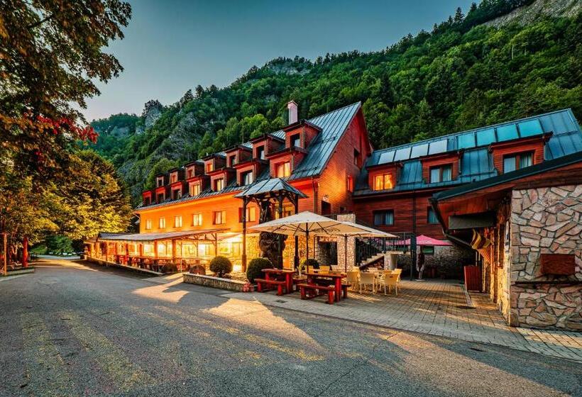 ホテル Chata Pieniny