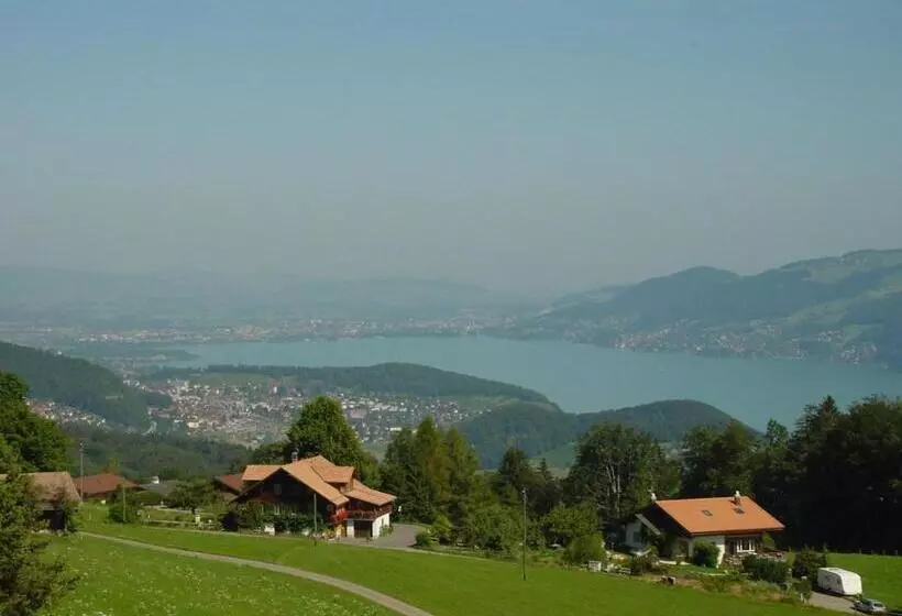 هتل Chemihütte