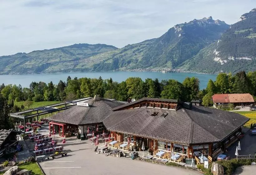 هتل Chemihütte