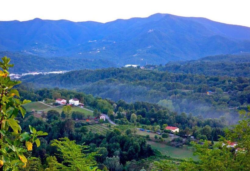 Отель Forni Rosaia