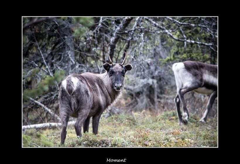 Hotelli Lannavaara Lodge