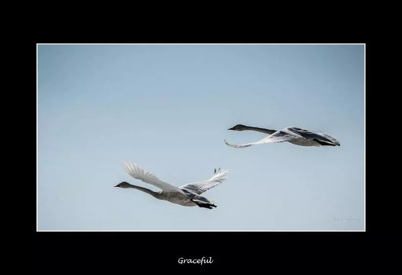 ホテル Lannavaara Lodge