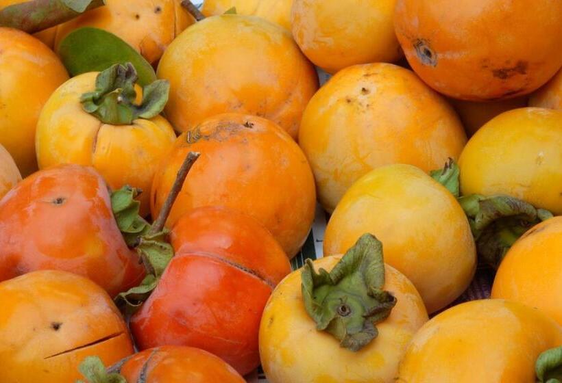 膳宿费 Agriturismo Fogolar Da Capo