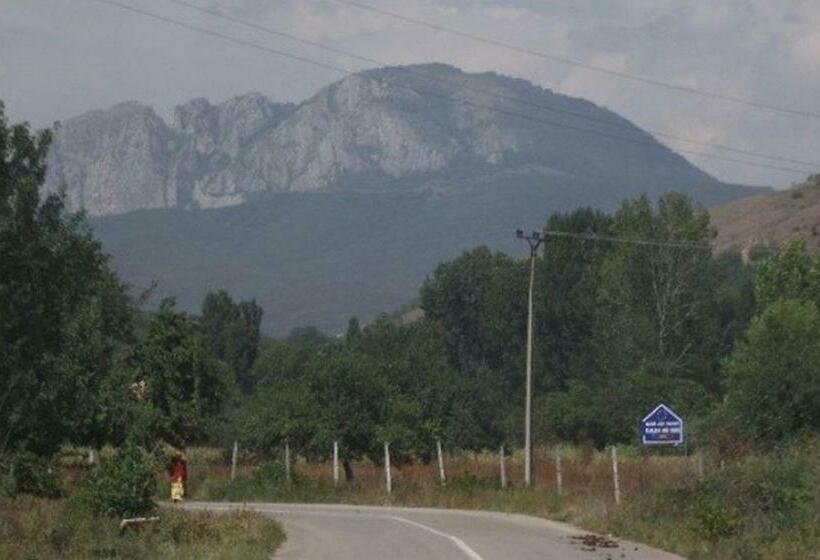 펜션 Cabana Poiana Galdei