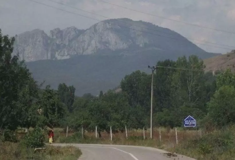 ペンション Cabana Poiana Galdei