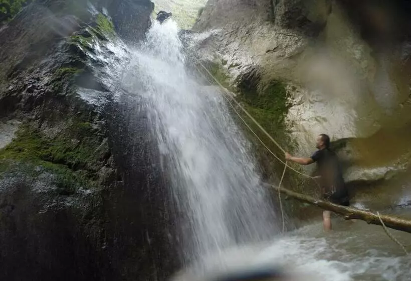 ペンション Cabana Poiana Galdei