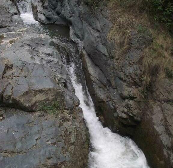 펜션 Cabana Poiana Galdei