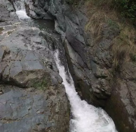 ペンション Cabana Poiana Galdei