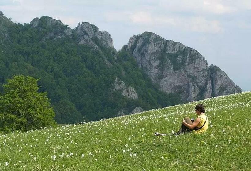 펜션 Cabana Poiana Galdei