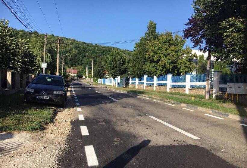 펜션 Casa Lidia și Gogu