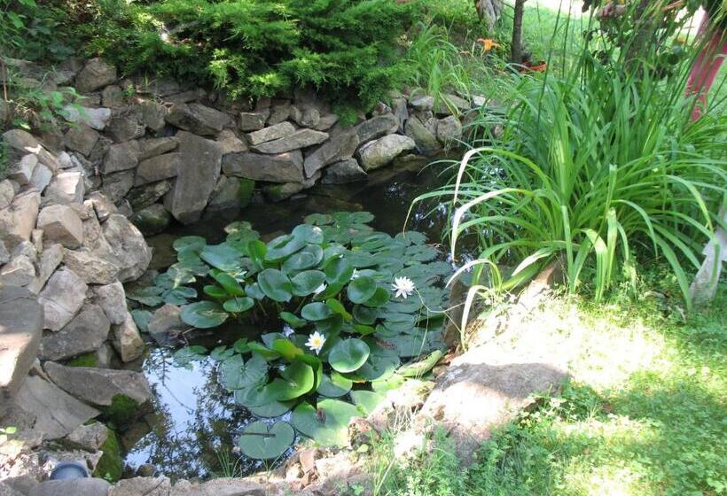 Пансион Guest House Slivek