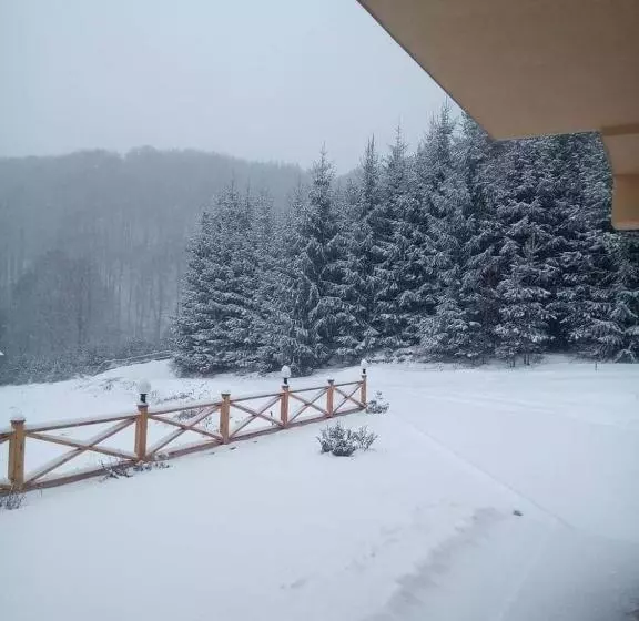 پانسیون Guesthouse Aida