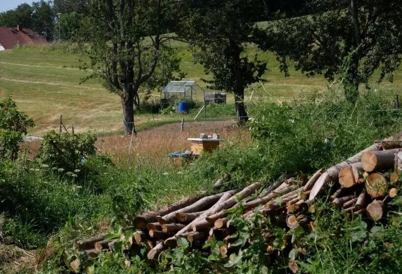 Majatalo Haus Vita Ferien  Und Seminarhaus