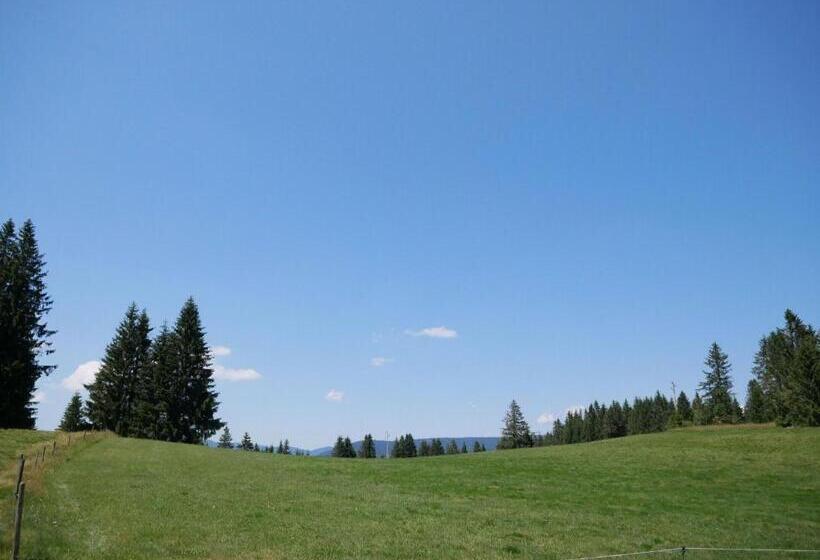 펜션 Haus Vita Ferien  Und Seminarhaus