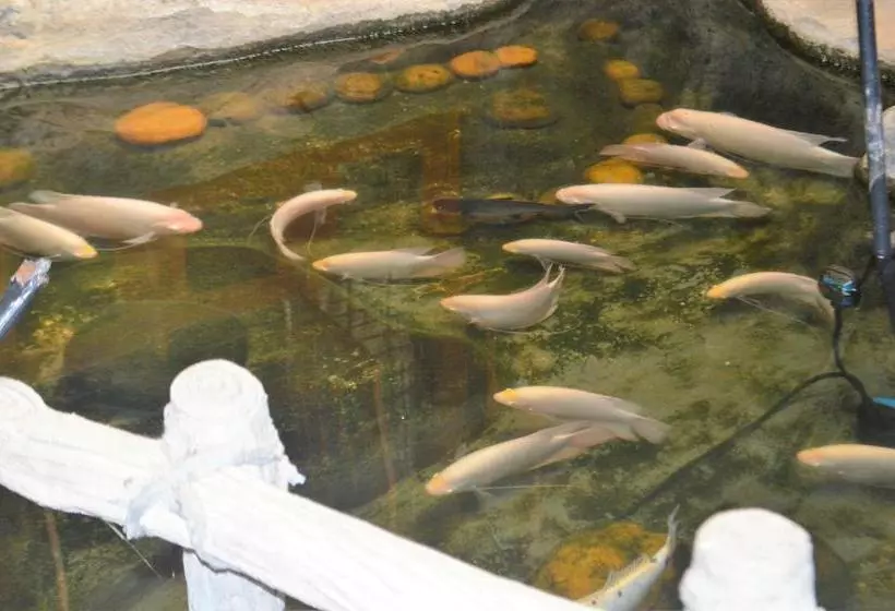 Majatalo Mangala Lodge