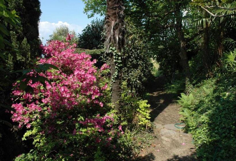 פנסיון Osteria Locanda Brack