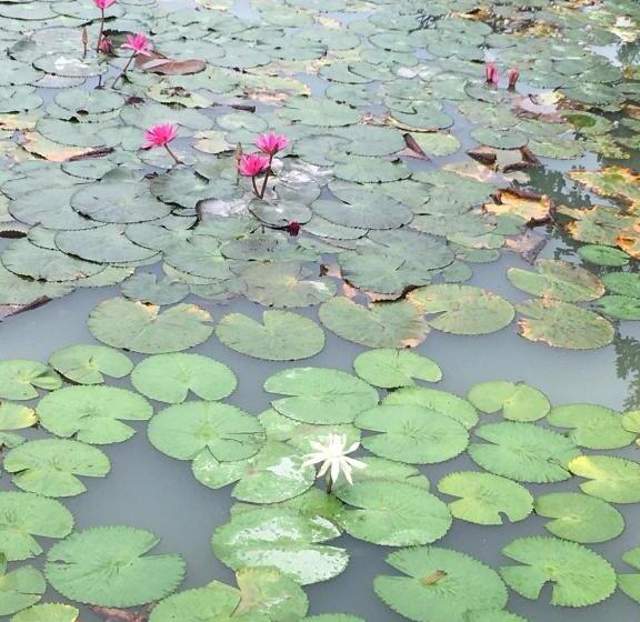 膳宿费 Panpim Resort