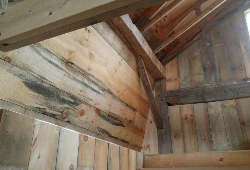 Sommerville Court Motel Bed & Breakfast