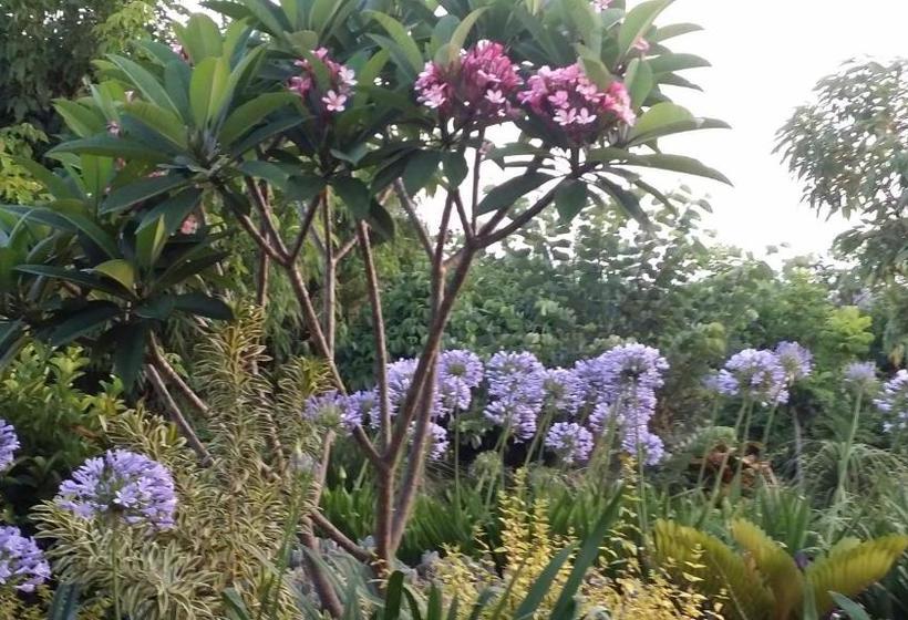 Willowbank Drive Bed & Breakfast