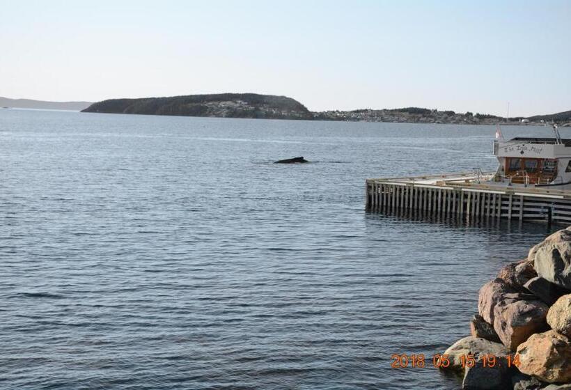 旅馆 Dildo Boathouse Inn