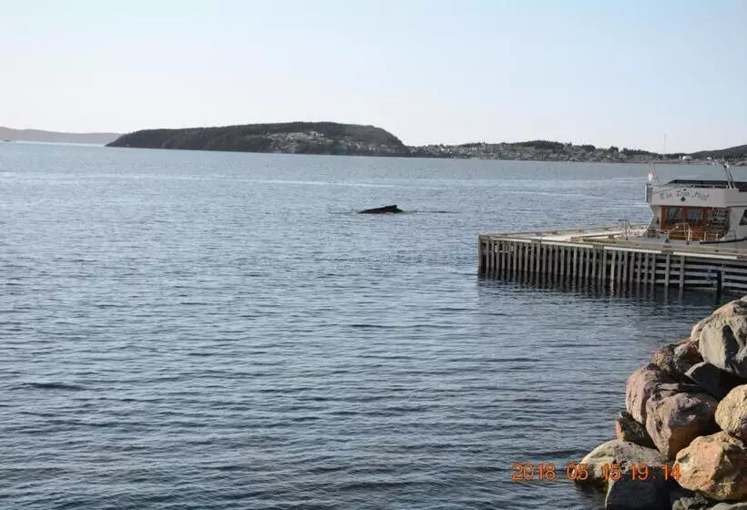 Retkeilymaja Dildo Boathouse Inn