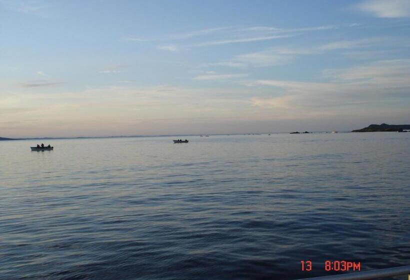 旅馆 Dildo Boathouse Inn