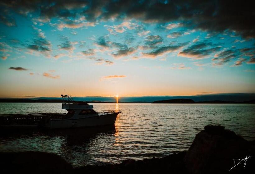 旅馆 Dildo Boathouse Inn