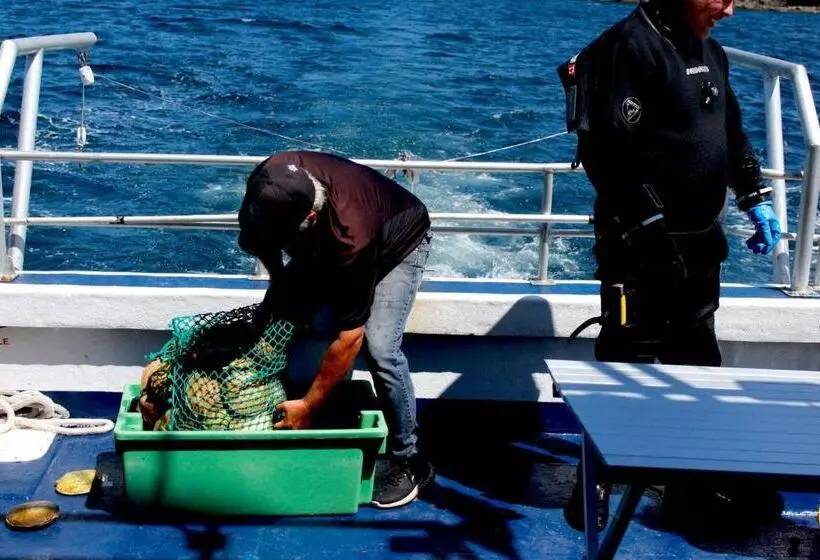 Retkeilymaja Dildo Boathouse Inn