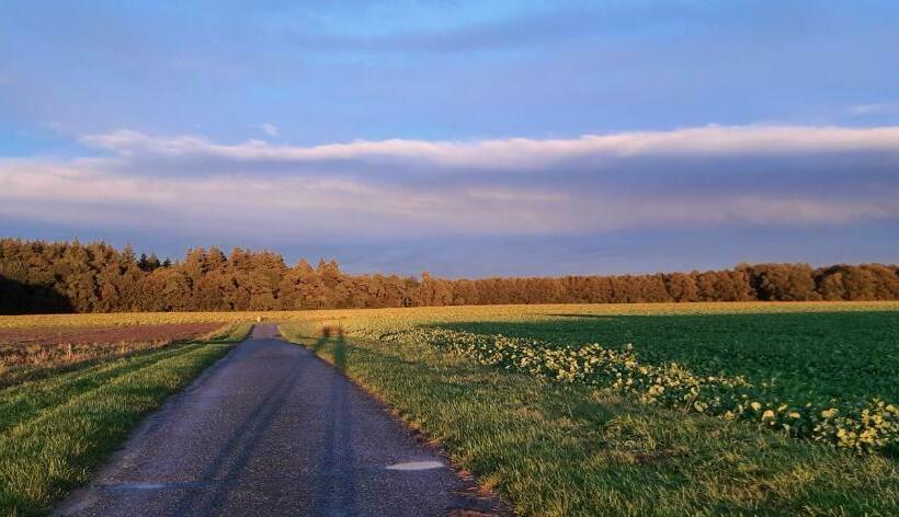 Bed And Breakfast Gasteren