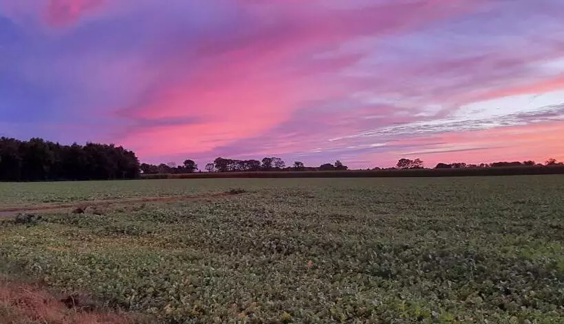 Bed And Breakfast Gasteren