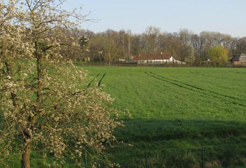 تختخواب و صبحانه La Belle Idee