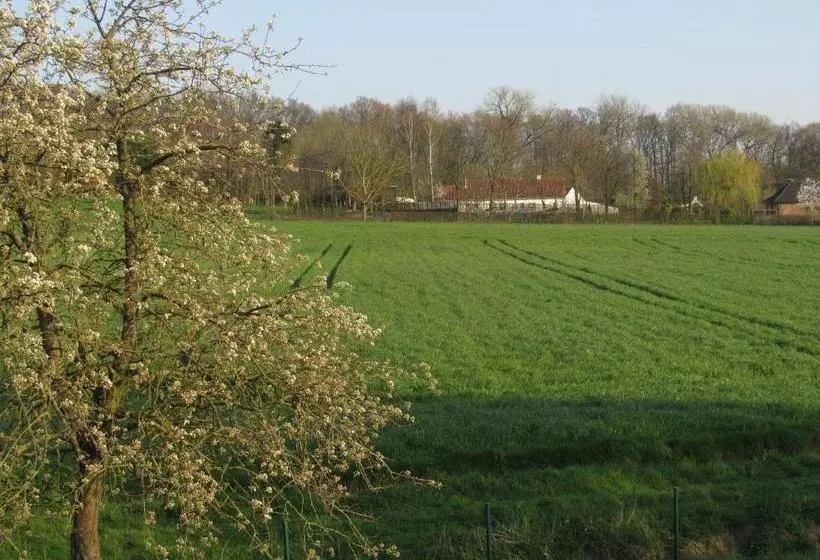 Aamiaismajoitus (B&B) La Belle Idee