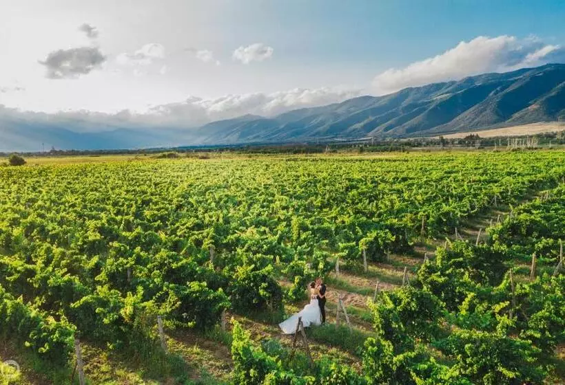 Hotelli Chateau Copsa Complex