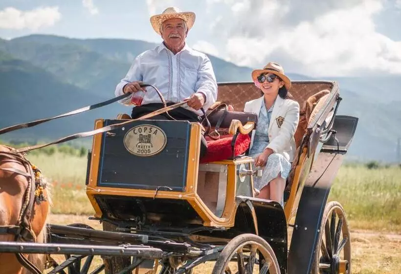 Hotelli Chateau Copsa Complex