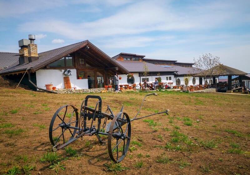 ホテル Ferma Dacilor