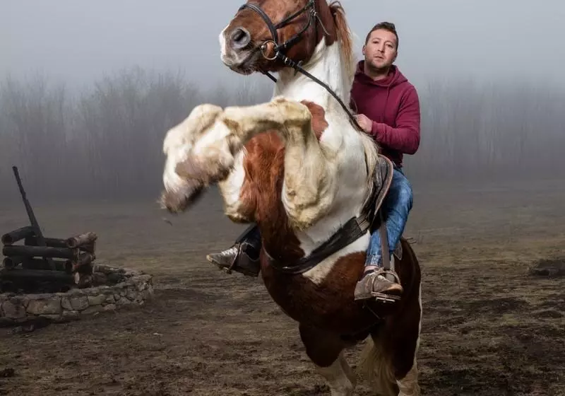 Hotelli Ferma Dacilor