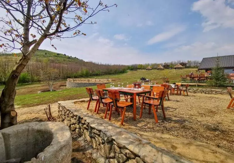 Hotelli Ferma Dacilor