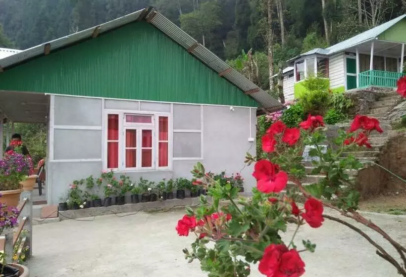 ホテル Vamoose Renu