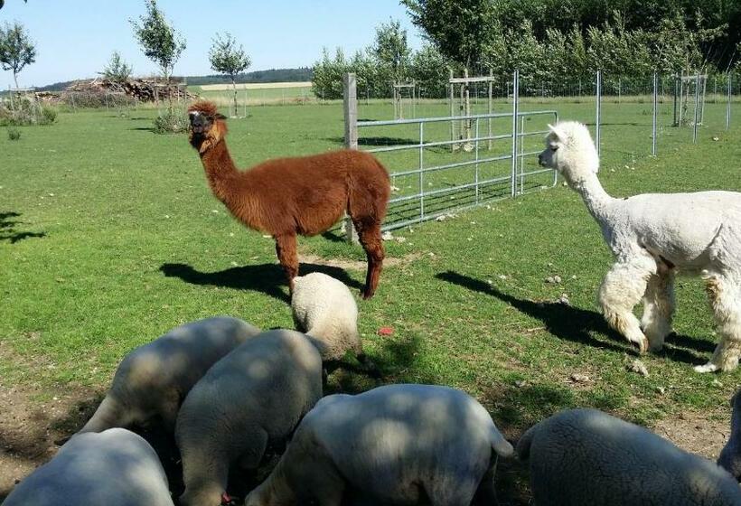 Отель Wirth Z ´ Moosham