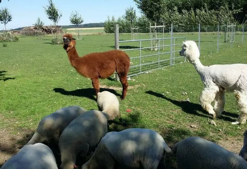 Hotelli Wirth Z ´ Moosham