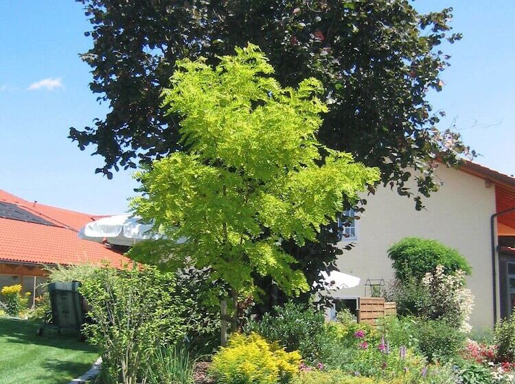 Отель Wirth Z ´ Moosham