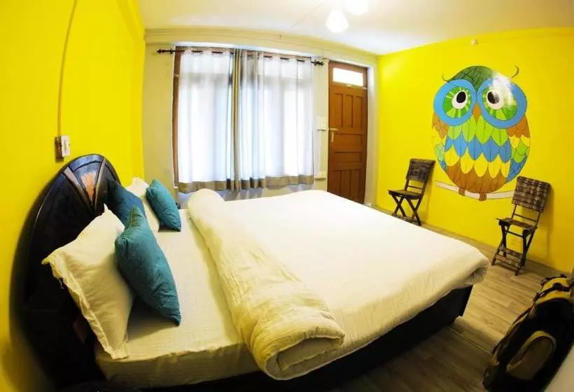 Whoopers Hostel Tosh