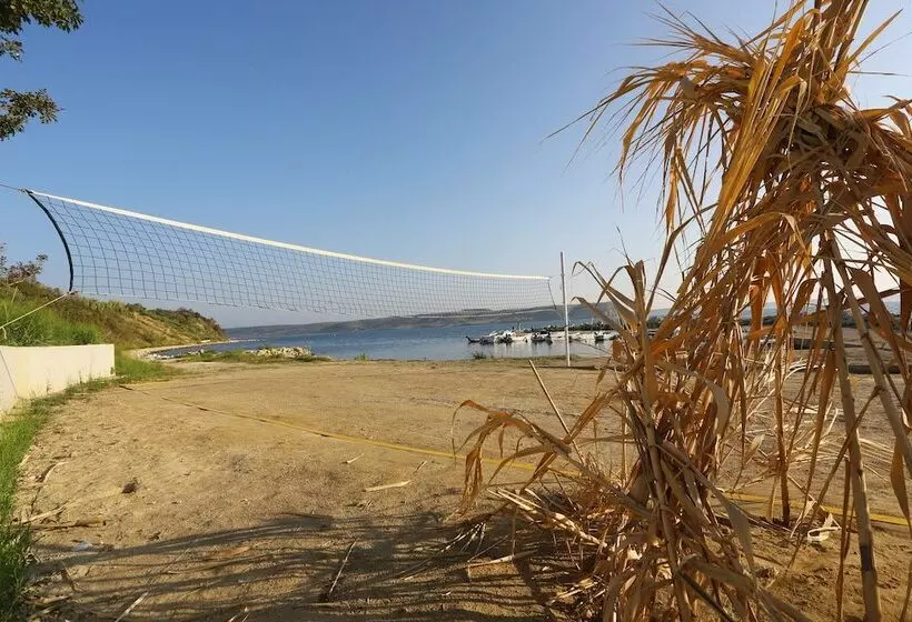 ユースホステル Camping Odmoree   Campsite