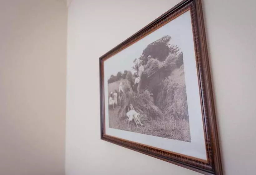 Agrib&b Corte Burchio