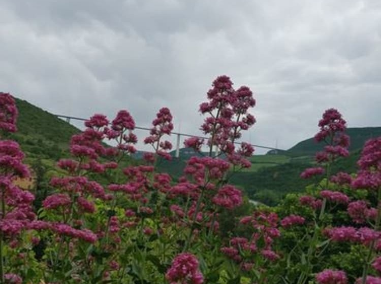 민박 La Terrasse De Peyre