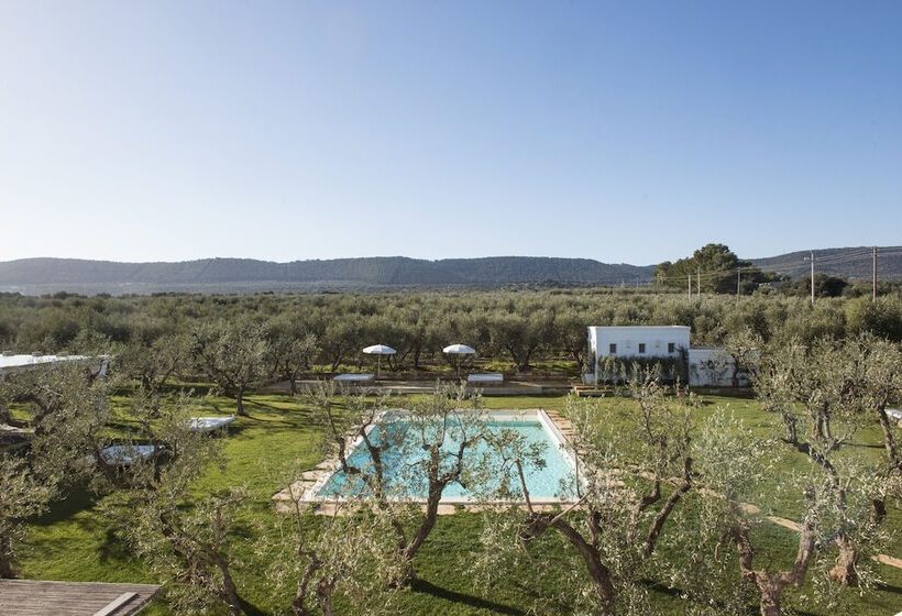 ベッドアンドブレックファースト Masseria Spesseto